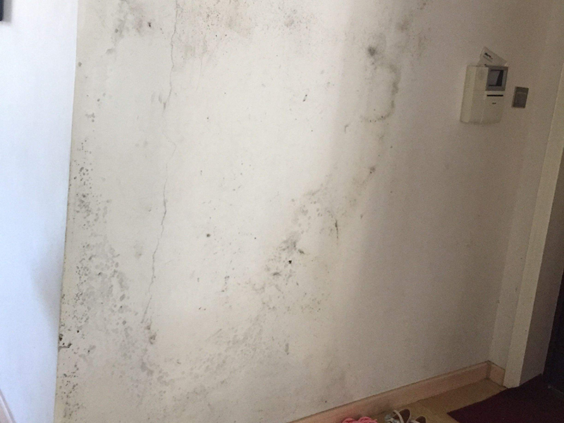 乳膠漆墻面有裂痕怎么翻新？神宮天巧熱心分享墻面處理小訣竅